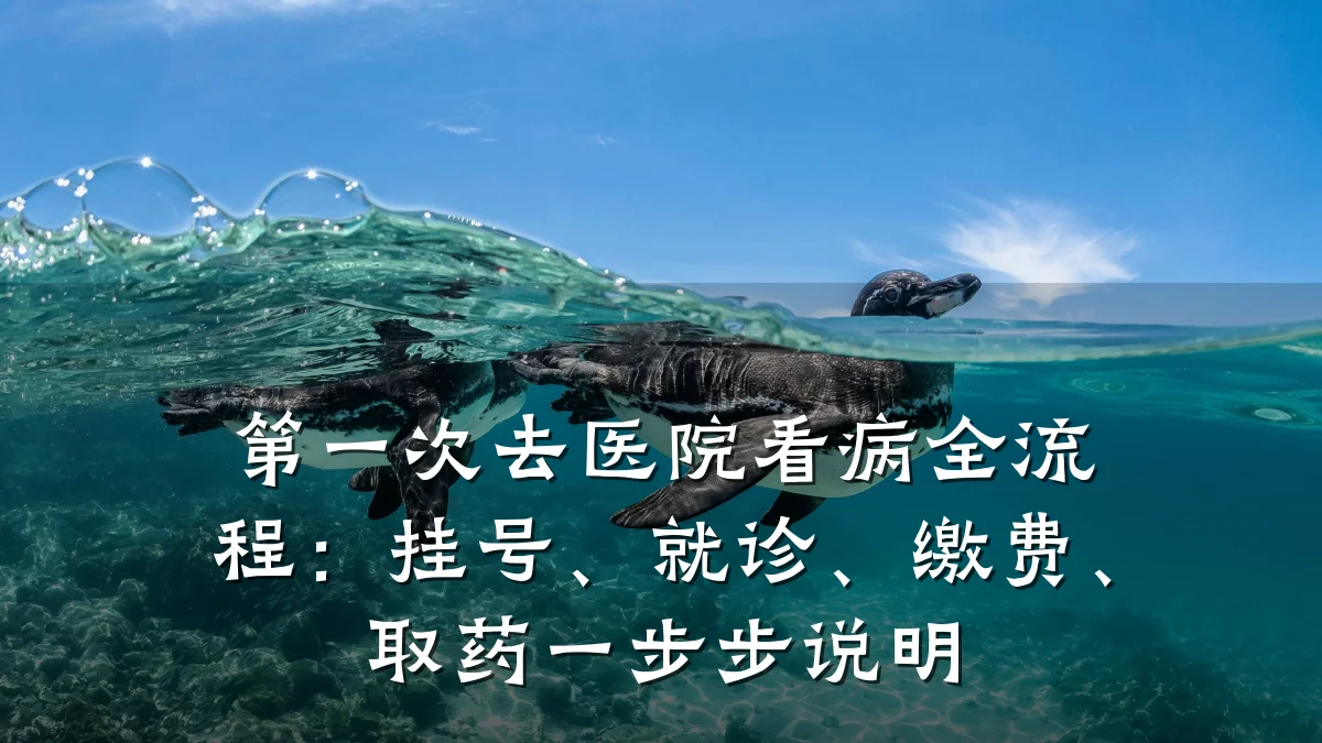 第一次去医院看病全流程:挂号、就诊、缴费、取药一步步说明
