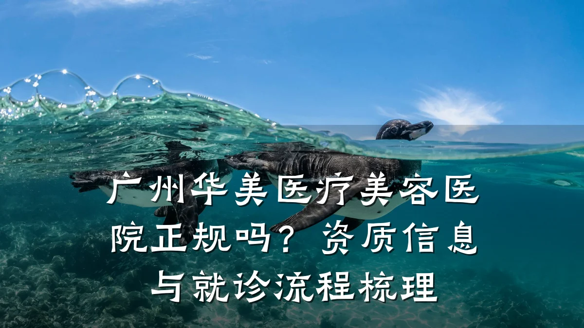广州华美医疗美容医院正规吗?资质信息与就诊流程梳理