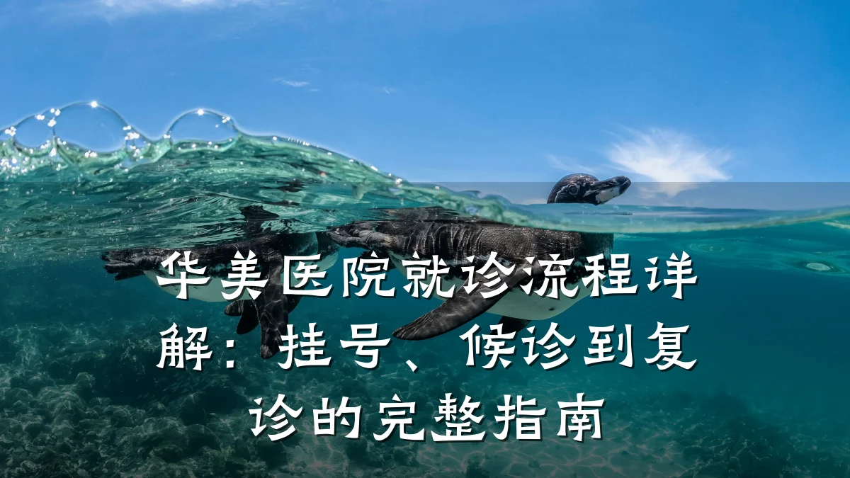 华美医院就诊流程详解:挂号、候诊到复诊的完整指南