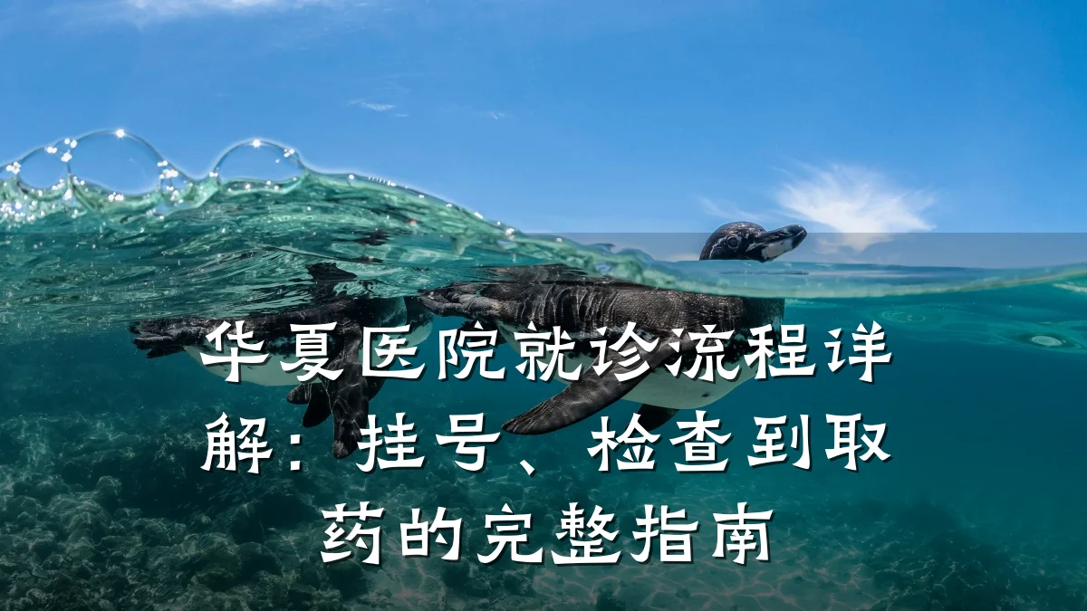 华夏医院就诊流程详解:挂号、检查到取药的完整指南