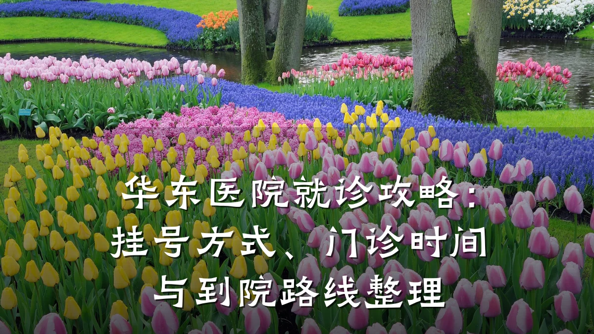 华东医院就诊攻略:挂号方式、门诊时间与到院路线整理