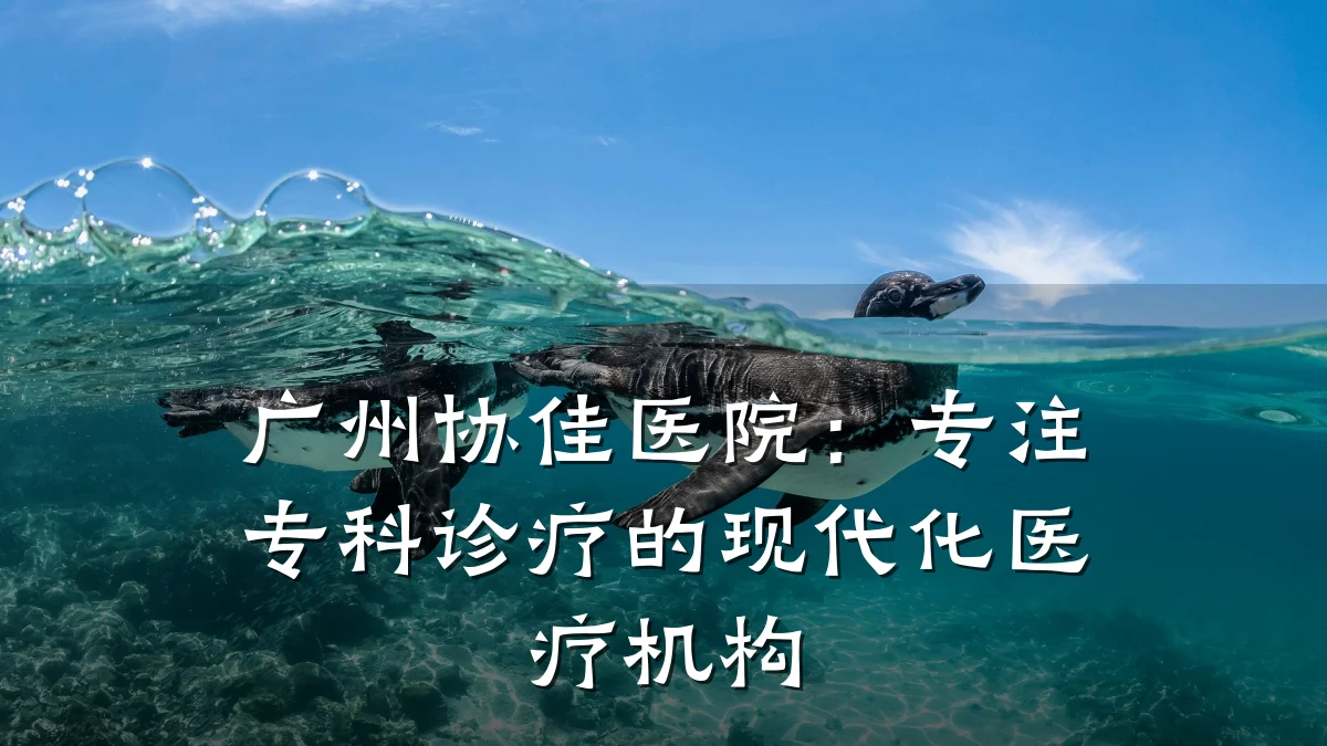 广州协佳医院：专注专科诊疗的现代化医疗机构
