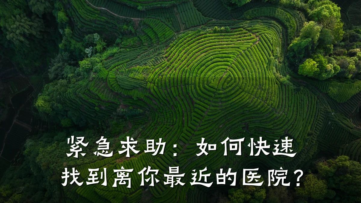 紧急求助:如何快速找到离你最近的医院?