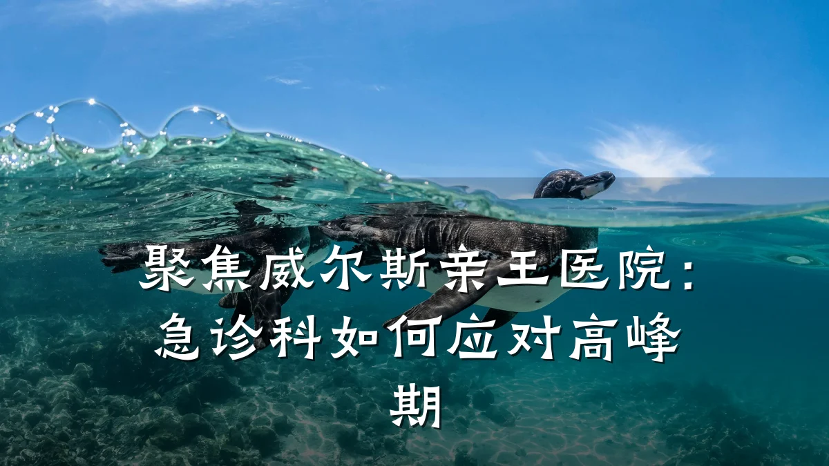 聚焦威尔斯亲王医院:急诊科如何应对高峰期