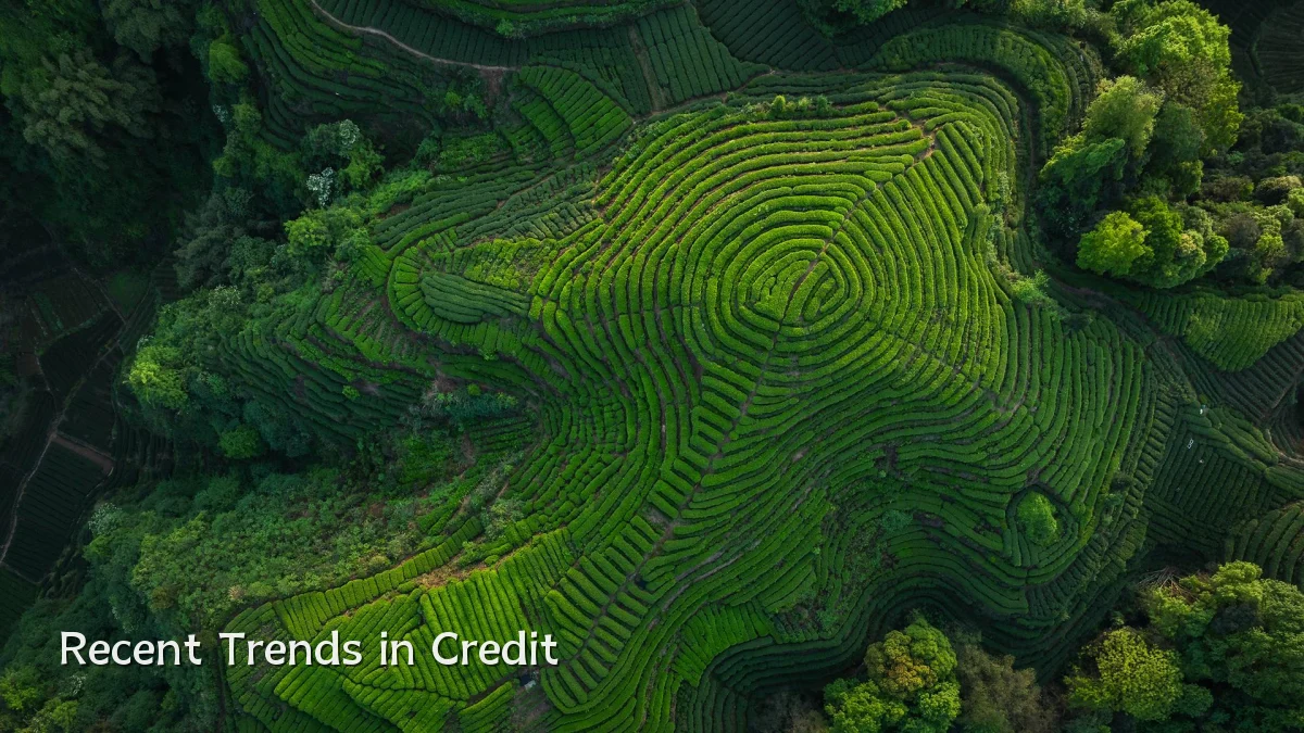 Recent Trends in Credit