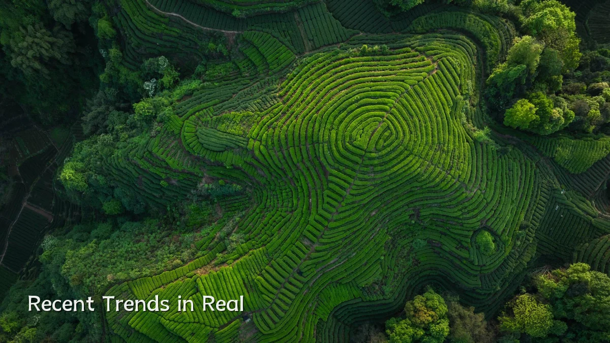Recent Trends in Real