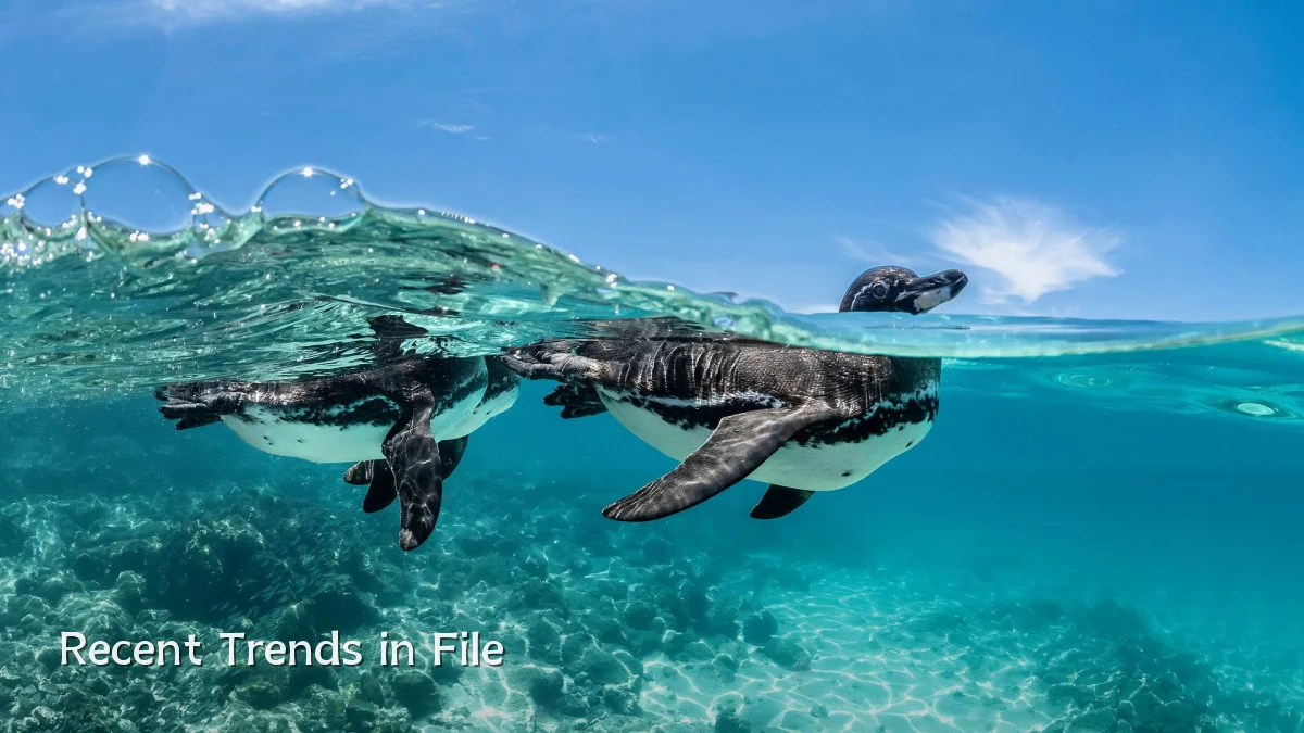 Recent Trends in File