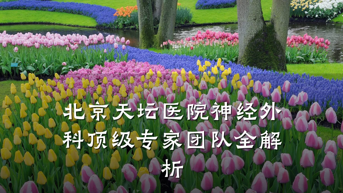 北京天坛医院神经外科顶级专家团队全解析