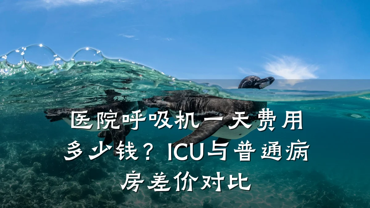 医院呼吸机一天费用多少钱?ICU与普通病房差价对比