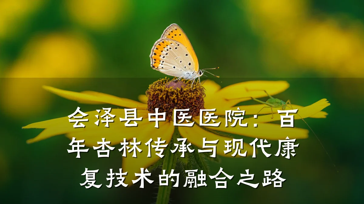 会泽县中医医院：百年杏林传承与现代康复技术的融合之路