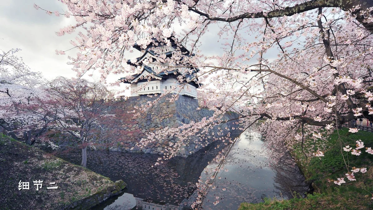 细节二