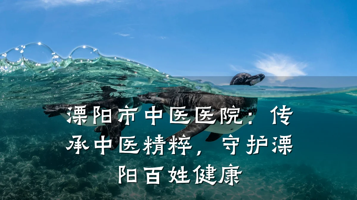 溧阳市中医医院：传承中医精粹，守护溧阳百姓健康