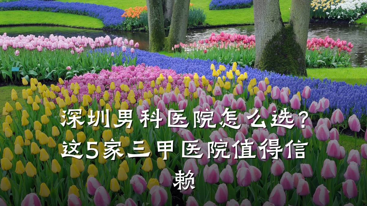 深圳男科医院怎么选？这5家三甲医院值得信赖