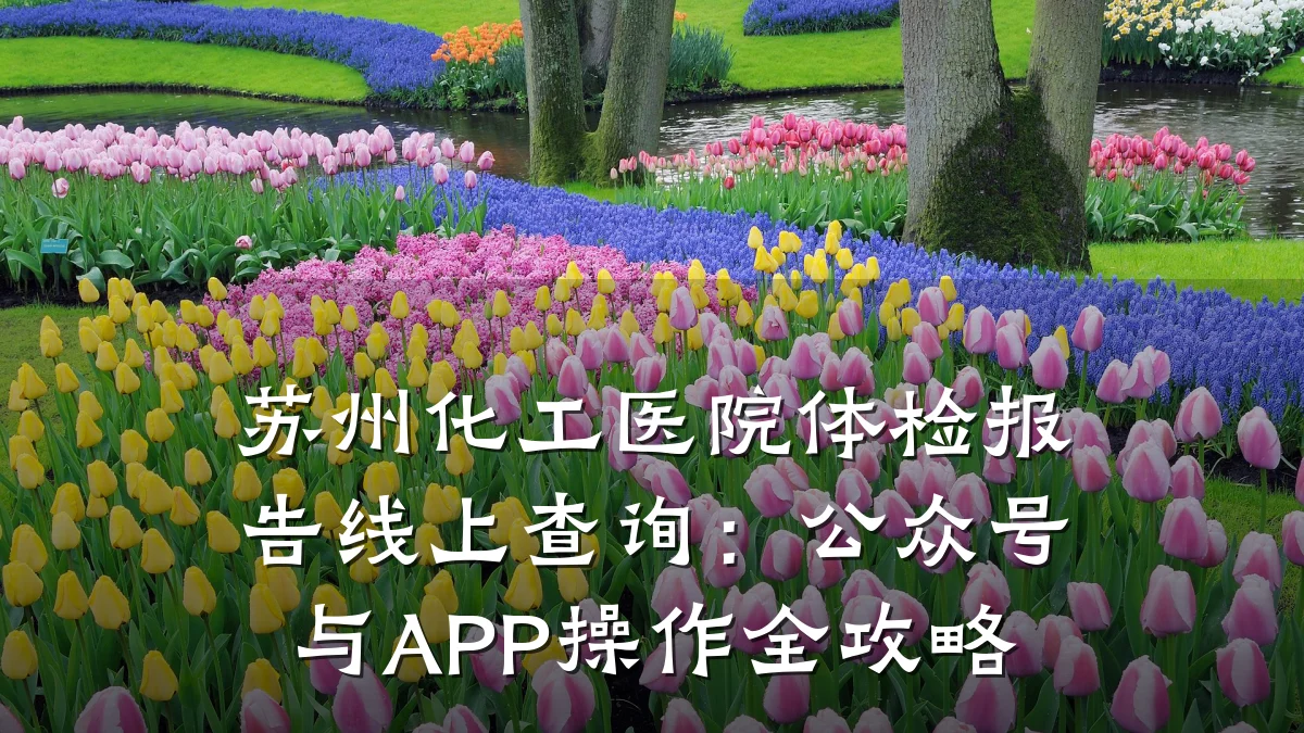 苏州化工医院体检报告线上查询：公众号与APP操作全攻略