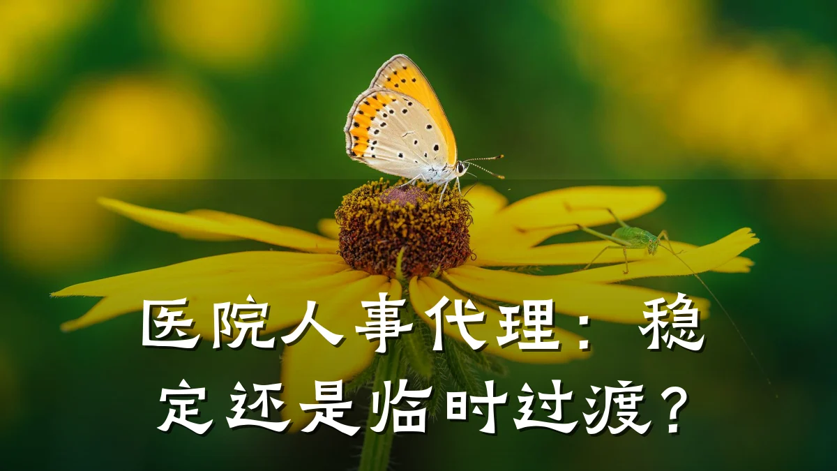 医院人事代理：稳定还是临时过渡？